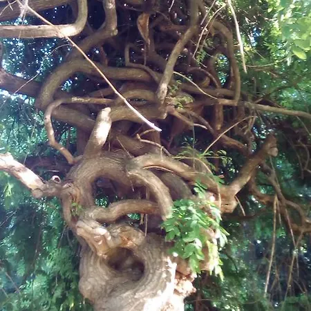 Panorama 5 Appartamento