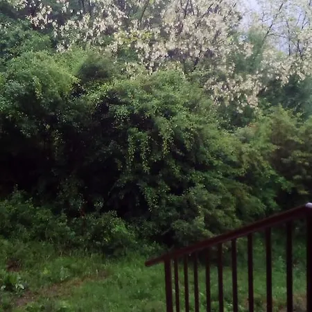 Panorama 5 Appartamento Soko Banja