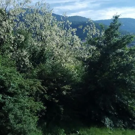 Panorama 5 Soko Banja