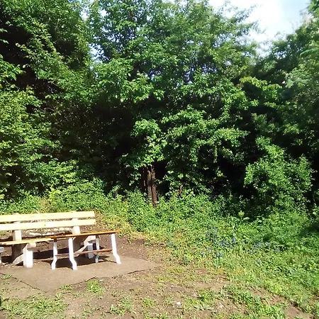 Panorama 5 * Soko Banja